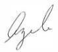 Brian Pieninck signature